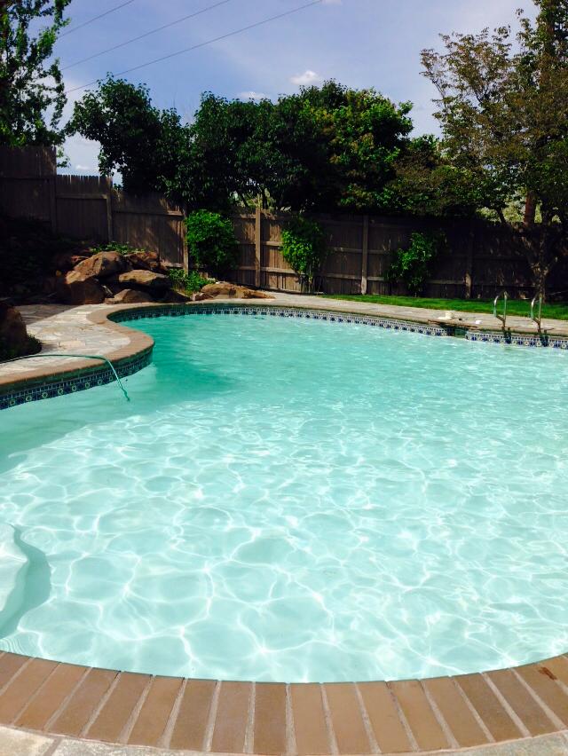 Residential pool serviced by Pool and Spa Solutions