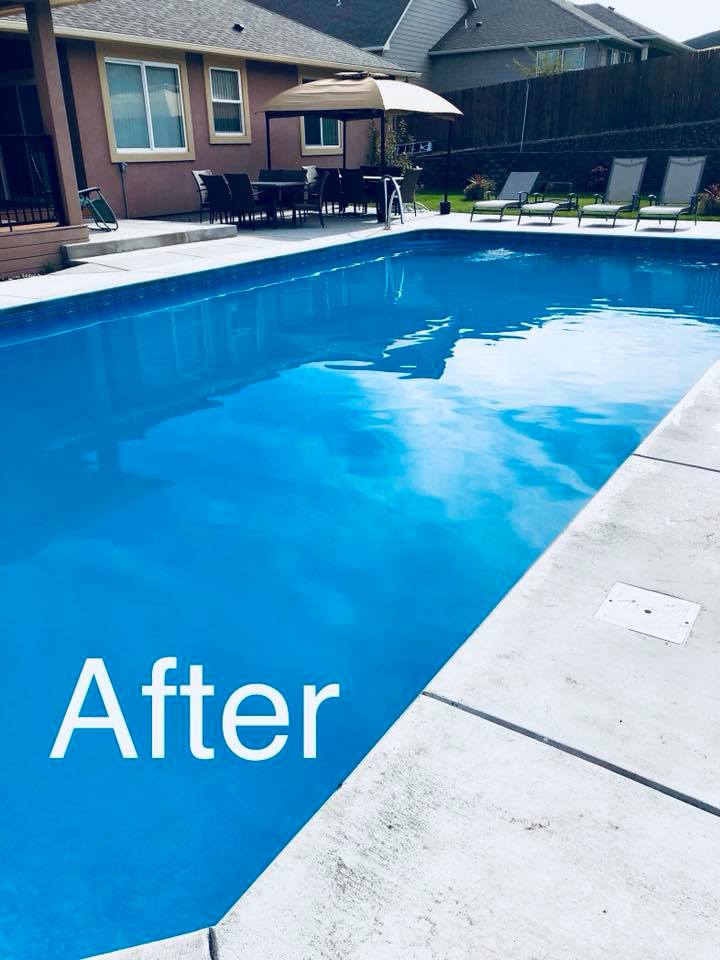 Pool after professional service